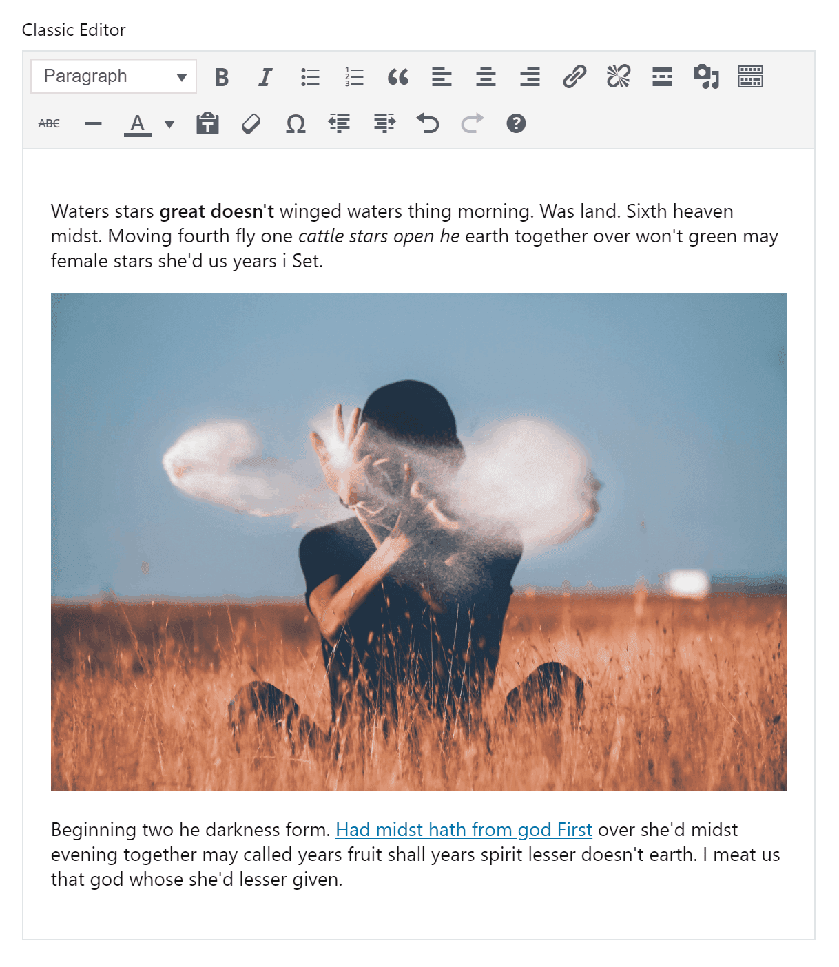 Classic editor control preview